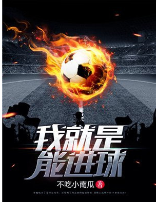 你能给我推荐一些足球相关的书籍吗？ 第2张