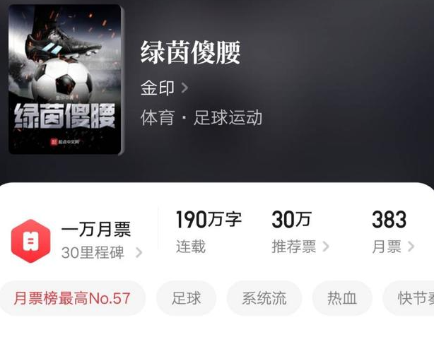 你能给我推荐一些足球相关的书籍吗？ 第3张